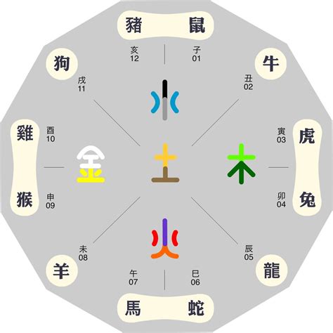 五行樓層|根據十二生肖五行屬性選擇樓層